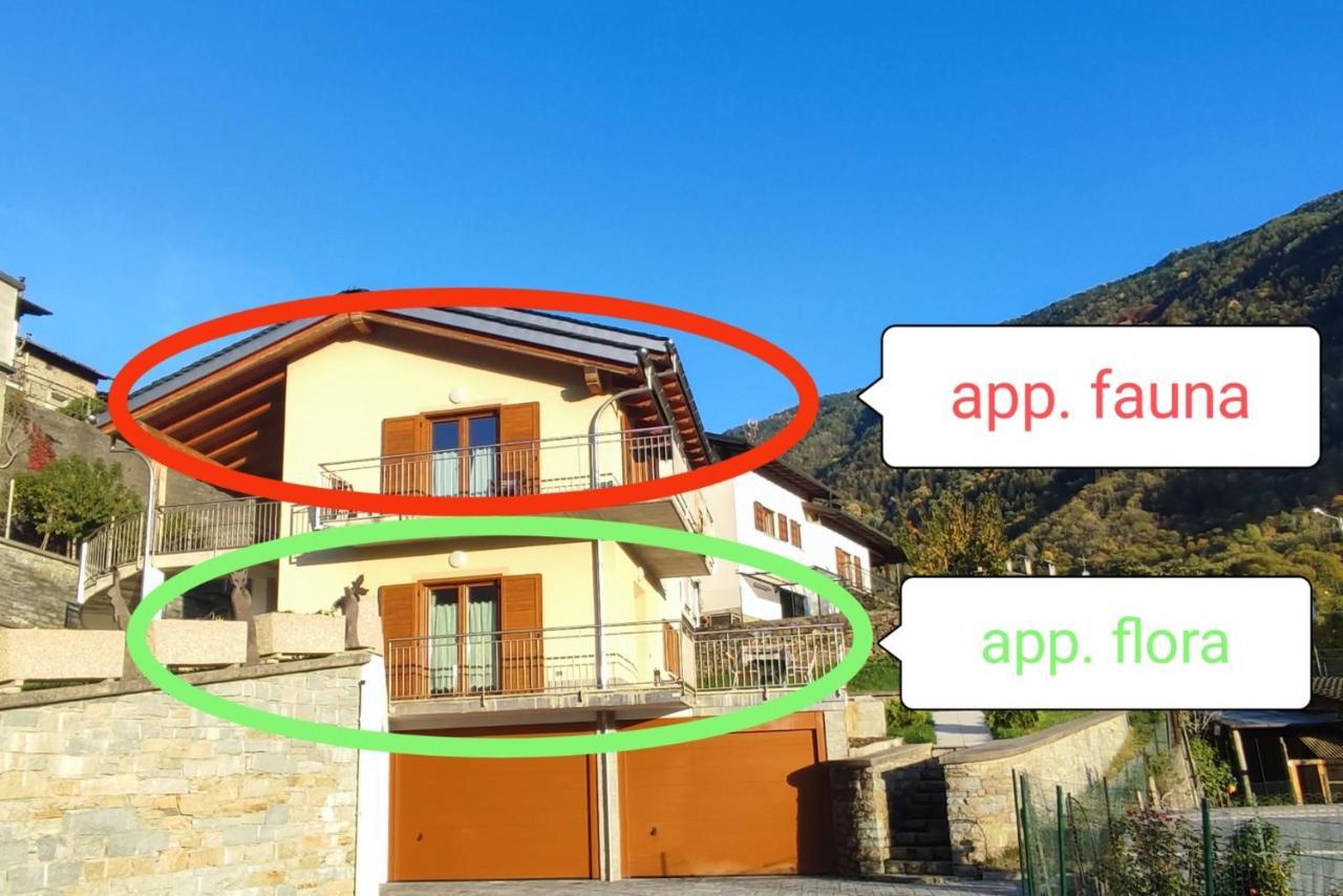 Pisolo Selvaggio Apartment Tirano Luaran gambar
