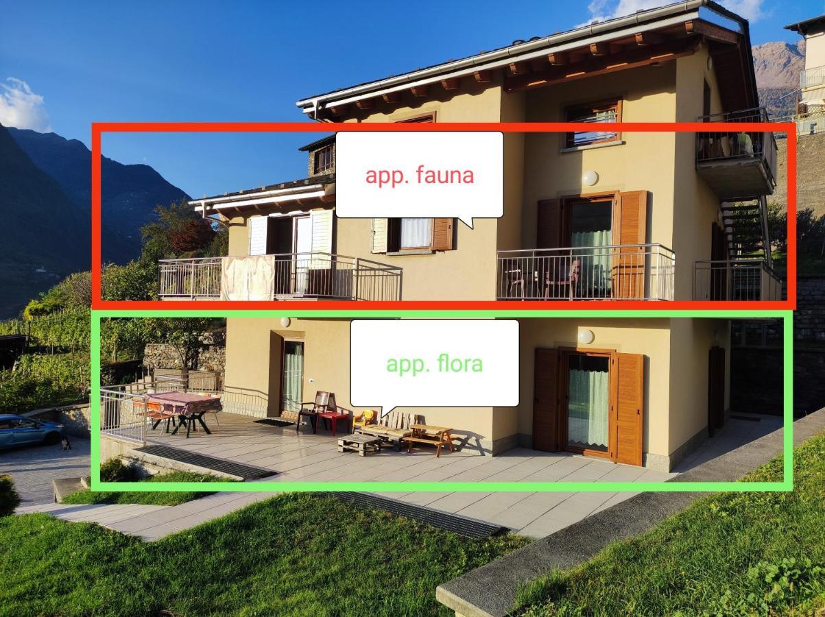 Pisolo Selvaggio Apartment Tirano Luaran gambar