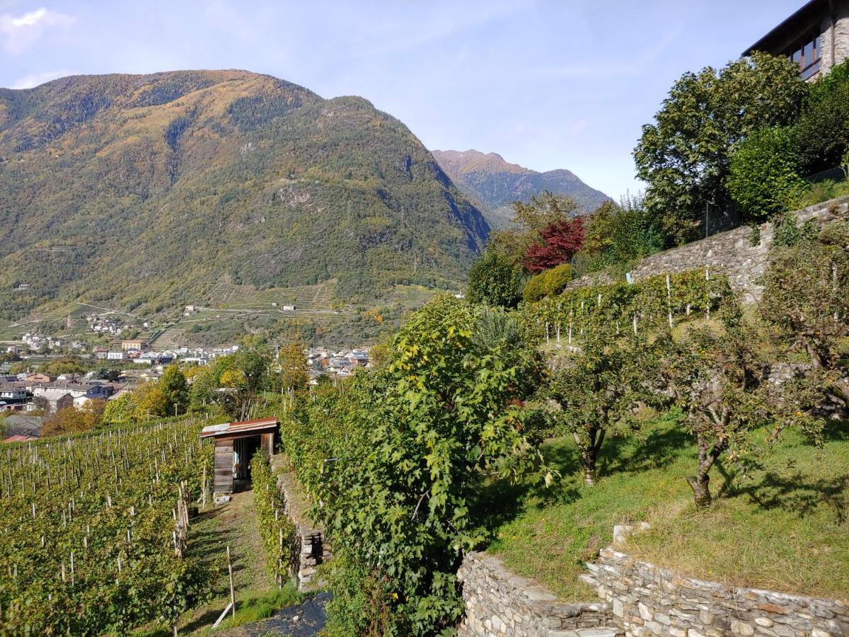 Pisolo Selvaggio Apartment Tirano Luaran gambar